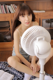 大宋宫词演员表